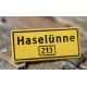 PIN HASELÜNNE - 138