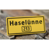 PIN HASELÜNNE - 138