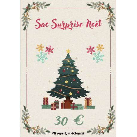 SAC SURPRISE NOËL